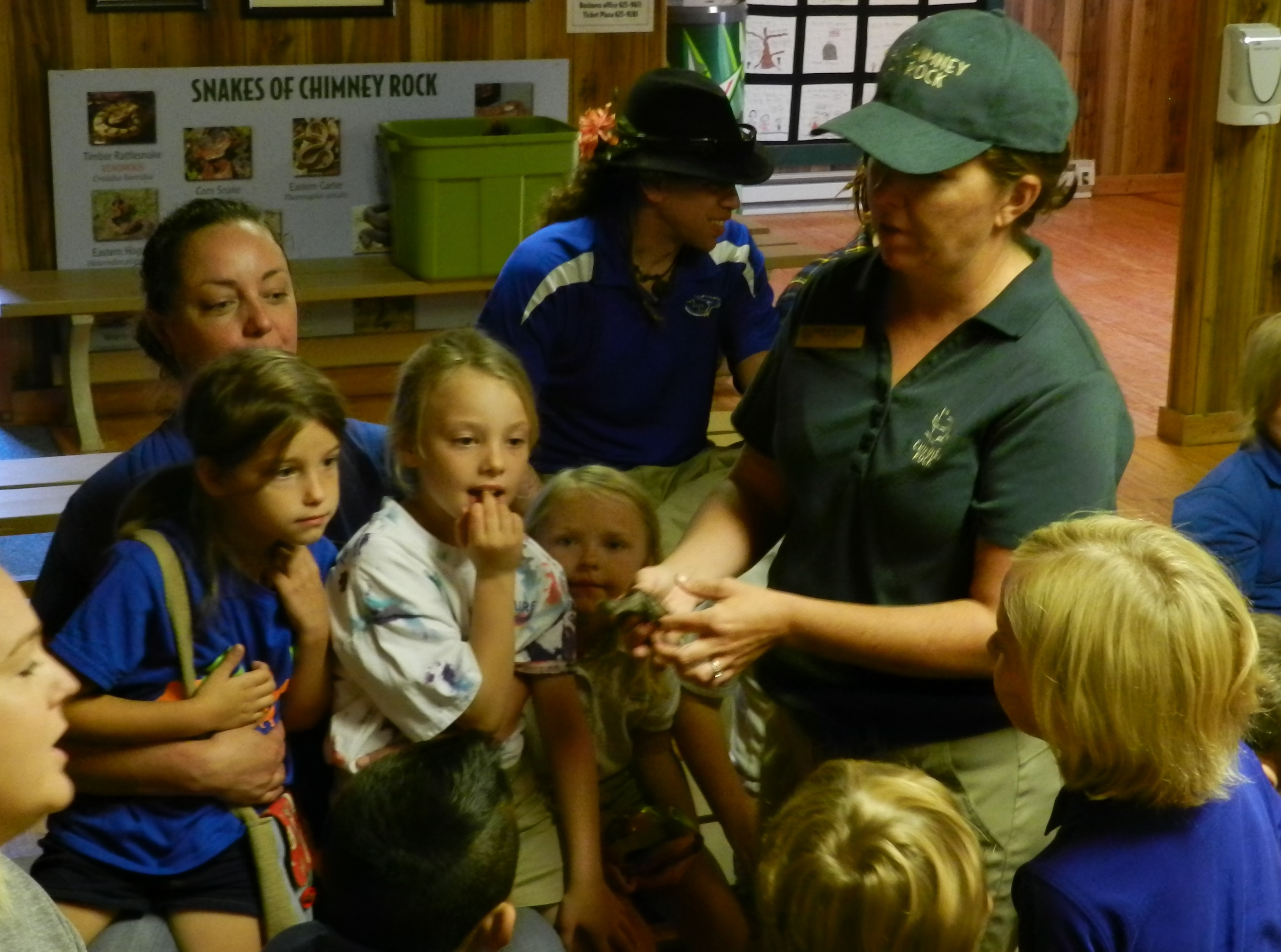 Education - Chimney Rock at Chimney Rock State Park